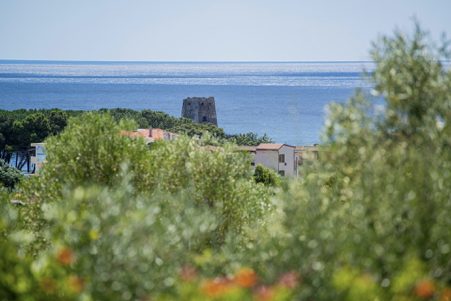 view over trees to water from Sardinia Italy